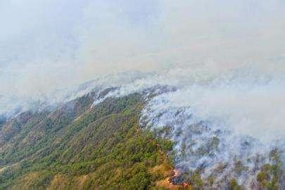 家之品 納音 山頭火